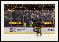 SM-Guld 2026 Skellefteå AIK No.7-4
