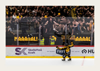 SM-Guld 2026 Skellefteå AIK No.7-5