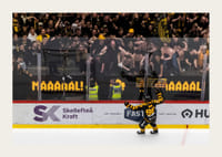 SM-Guld 2026 Skellefteå AIK No.7-5