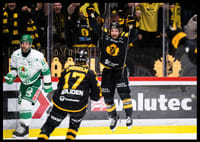 SM-Guld 2026 Skellefteå AIK No.8-8