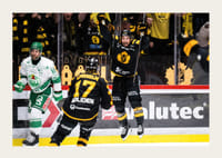 SM-Guld 2026 Skellefteå AIK No.8-5