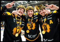SM-Guld 2026 Skellefteå AIK No.9-8