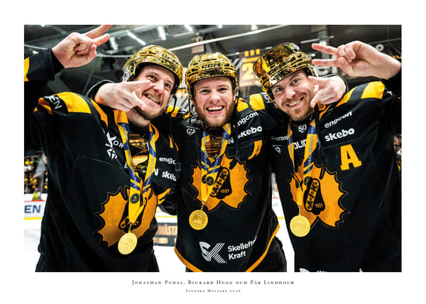 Poster SM-Guld 2026 Skellefteå AIK No.9