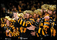SM-Guld 2026 Skellefteå AIK No.10-8