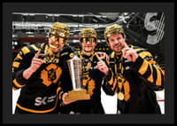 SM-Guld 2026 Skellefteå AIK No.11-6