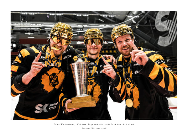 Poster SM-Guld 2026 Skellefteå AIK No.11