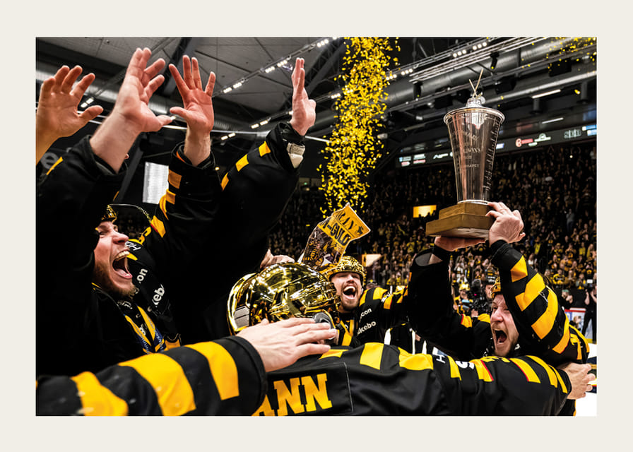 SM-Guld 2026 Skellefteå AIK No.12-12