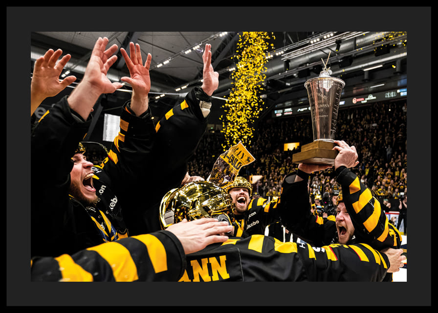 SM-Guld 2026 Skellefteå AIK No.12-12