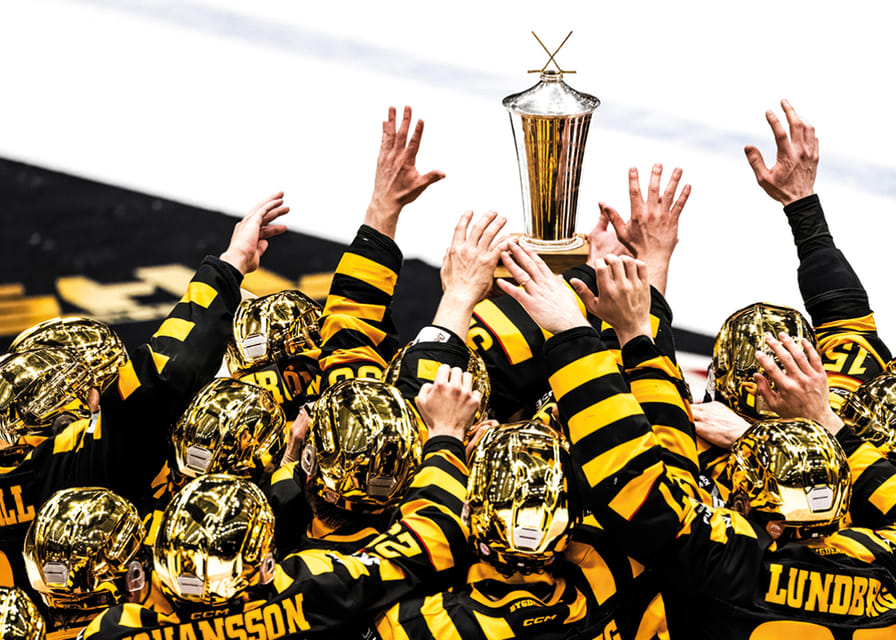 SM-Guld 2026 Skellefteå AIK No.14-12