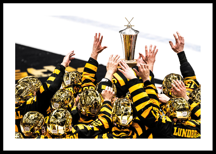 SM-Guld 2026 Skellefteå AIK No.14-12