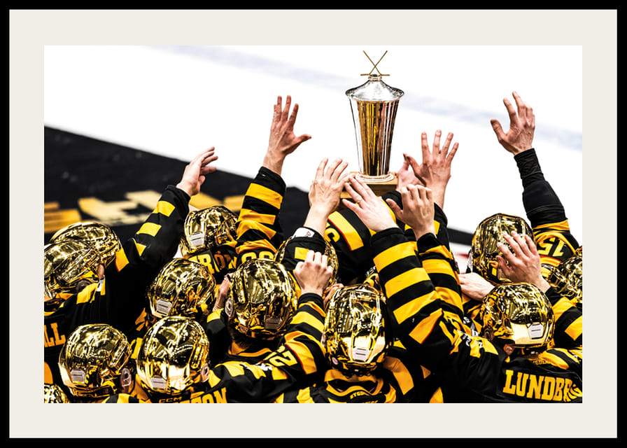 SM-Guld 2026 Skellefteå AIK No.14-12