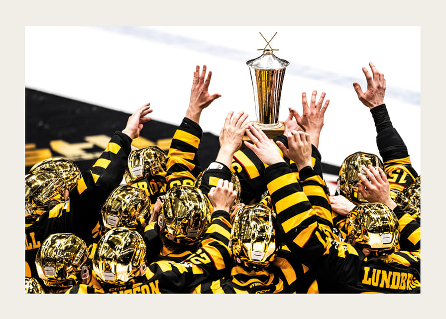 SM-Guld 2026 Skellefteå AIK No.14-12