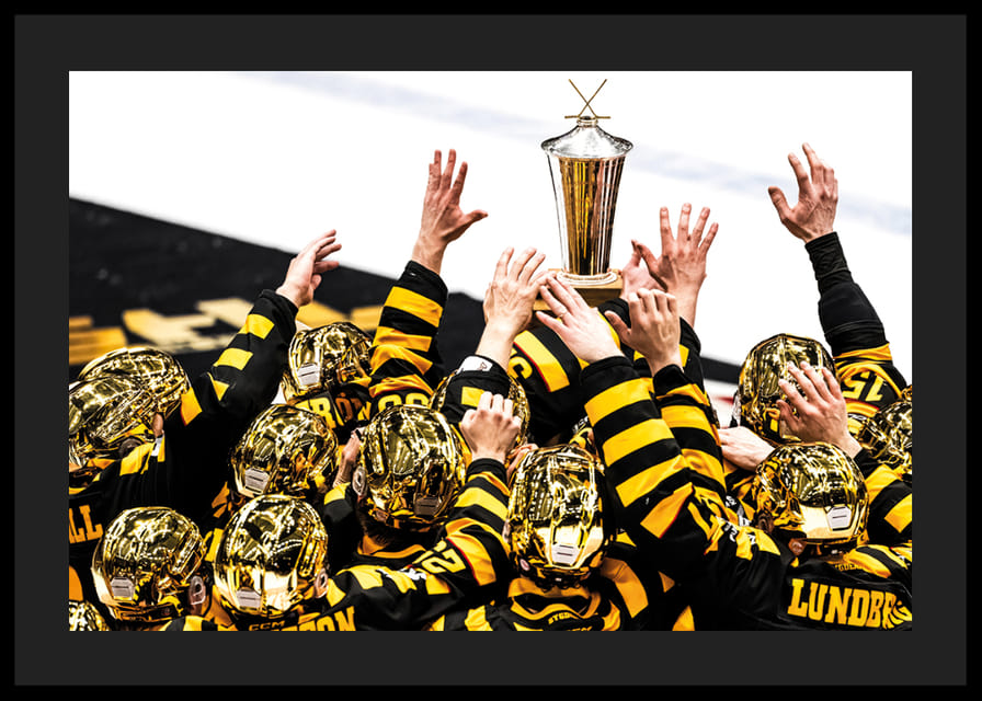 SM-Guld 2026 Skellefteå AIK No.14-12