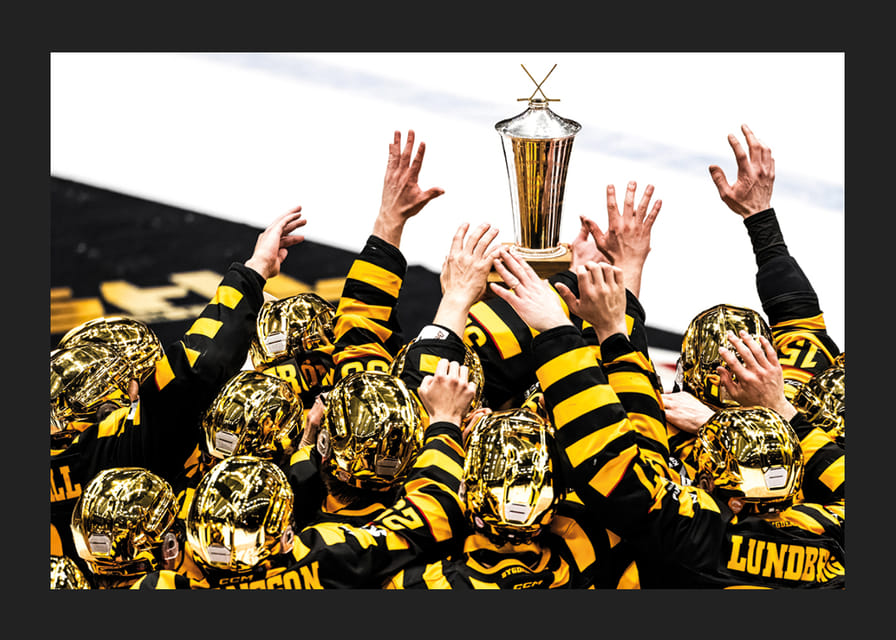 SM-Guld 2026 Skellefteå AIK No.14-12