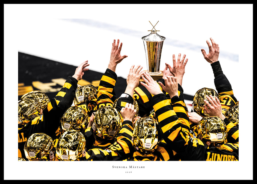 SM-Guld 2026 Skellefteå AIK No.14-12