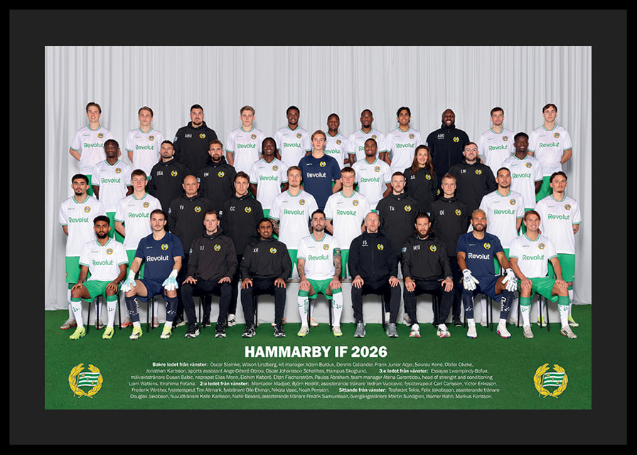 Hammarby IF 2026 Herrar Lagfoto-12