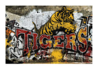 Brynäs Tigers Graffiti 2026-1