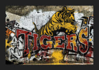 Brynäs Tigers Graffiti 2026-5