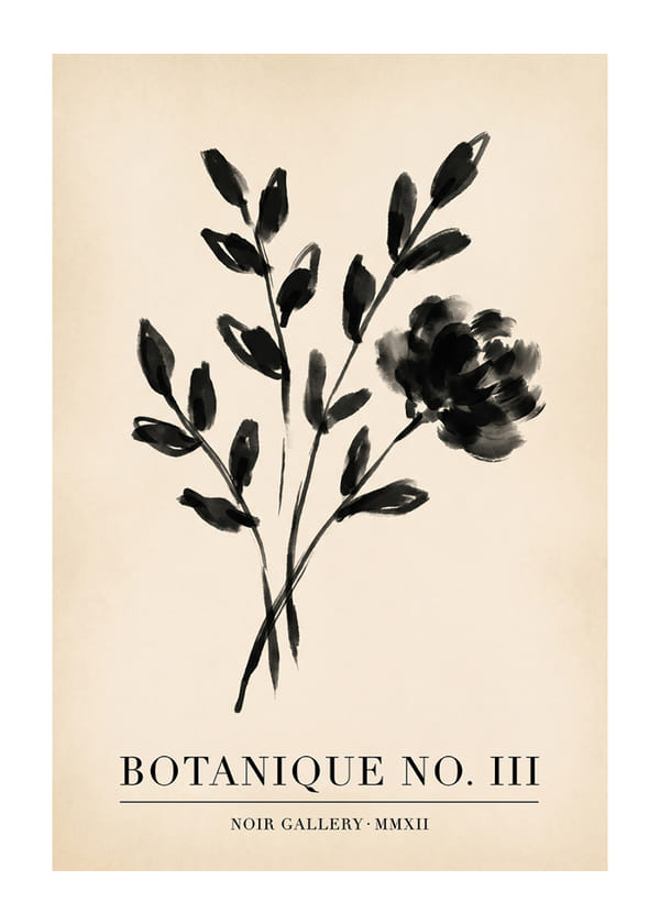 Póster Noir Blossom