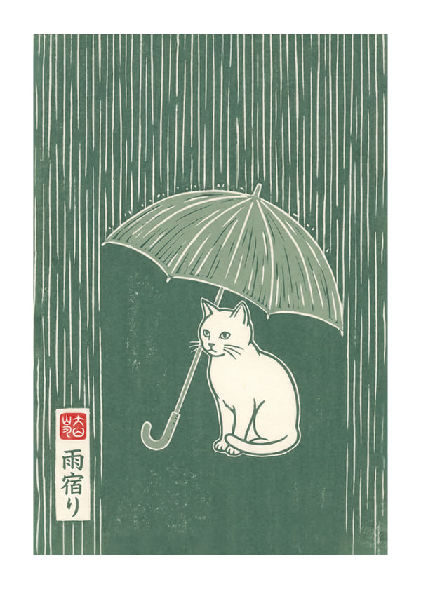 Poster A Cats Refuge From The Rain
