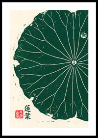 A deep green lotus leaf awakens inner peace and balance.-0