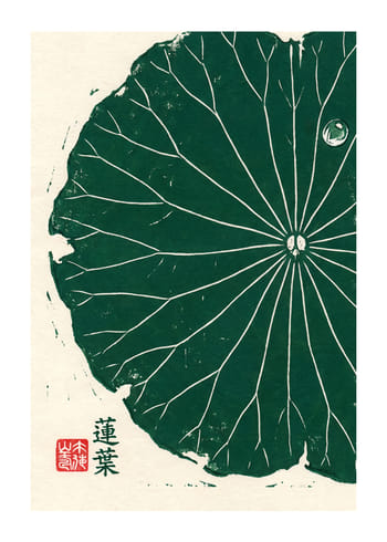 Poster Lotus Leaf
