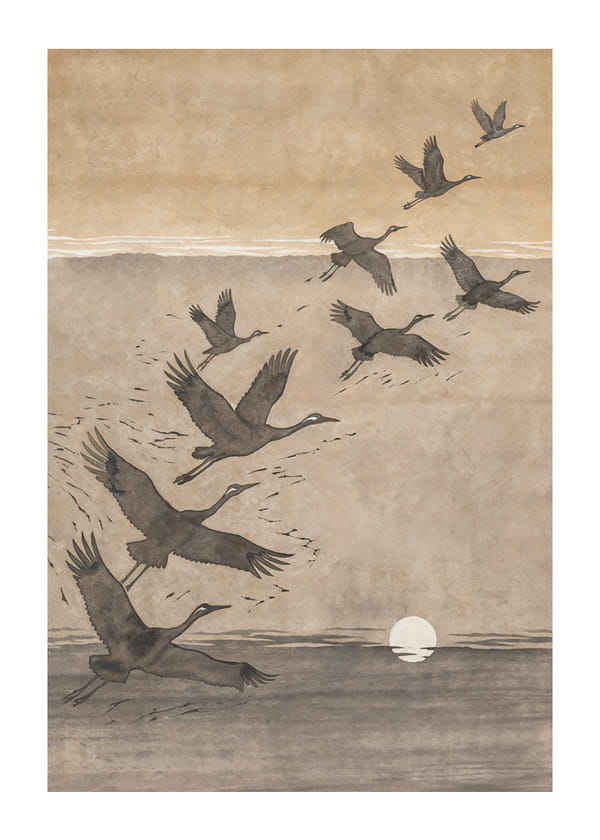 Poster Harmony In Flight