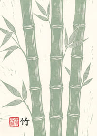 Graceful bamboo canes in calm green tones.-7