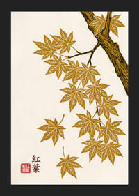 Golden maple leaves float elegantly against a cream-colored background.-5