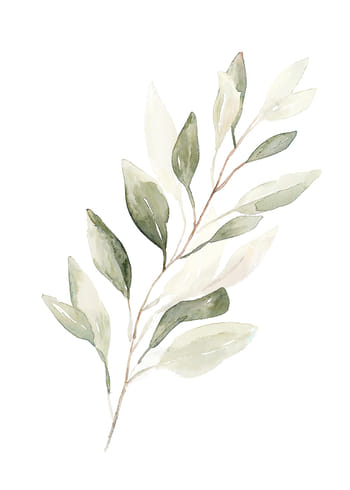 Poster Ethereal Foliage