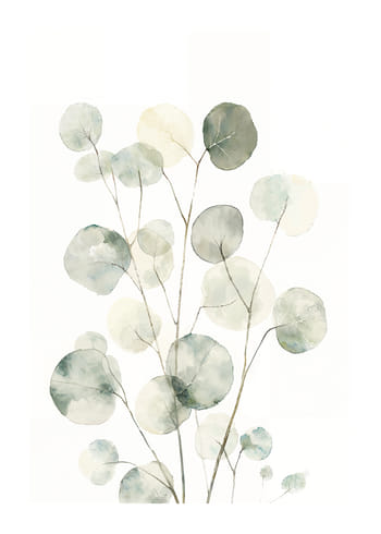 Poster Serene Botanicals