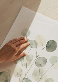 Light green leaves floating in airy elegance.-9