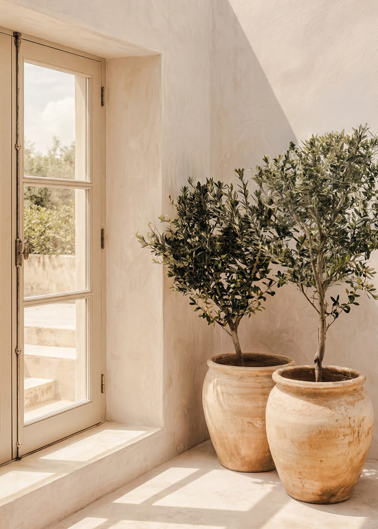 The sun's soft light dances over rustic pots and olive trees.-12
