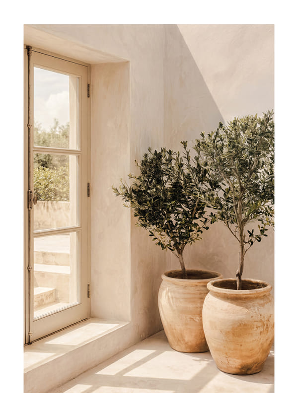 Poster Sunlit Olives