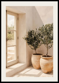 The sun's soft light dances over rustic pots and olive trees.-2