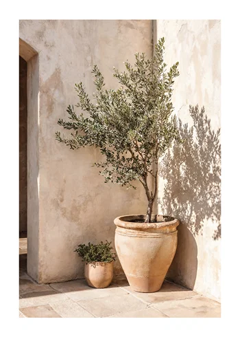 Poster Earthy Olive Corner