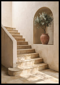 An olive tree in harmony with a terracotta pot illuminated by the sun.-6