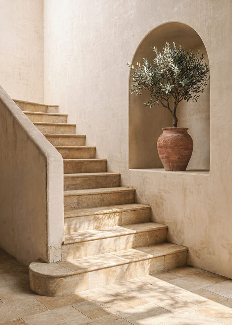 An olive tree in harmony with a terracotta pot illuminated by the sun.-12