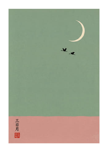 Poster Flight Under The Moon