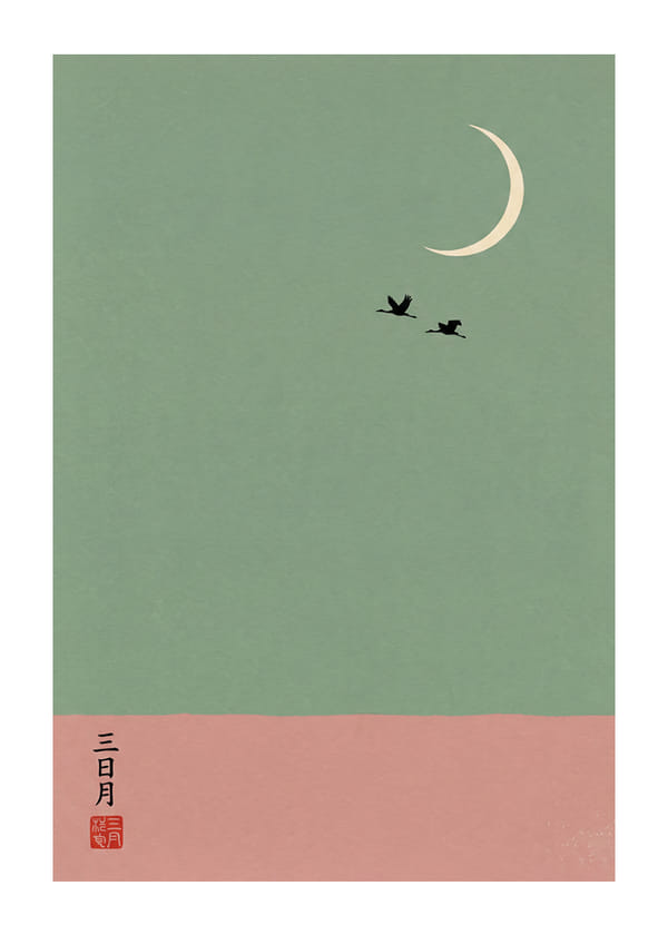 Poster Flight Under The Moon