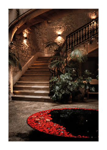 Poster Rose Petals and Stone