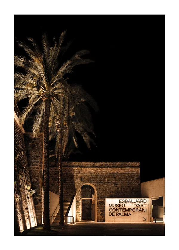 Poster Es Baluard Museu De Palma