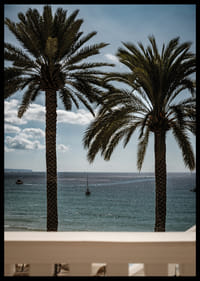 Palm trees by the sea provide peace and a heavenly calm.-6