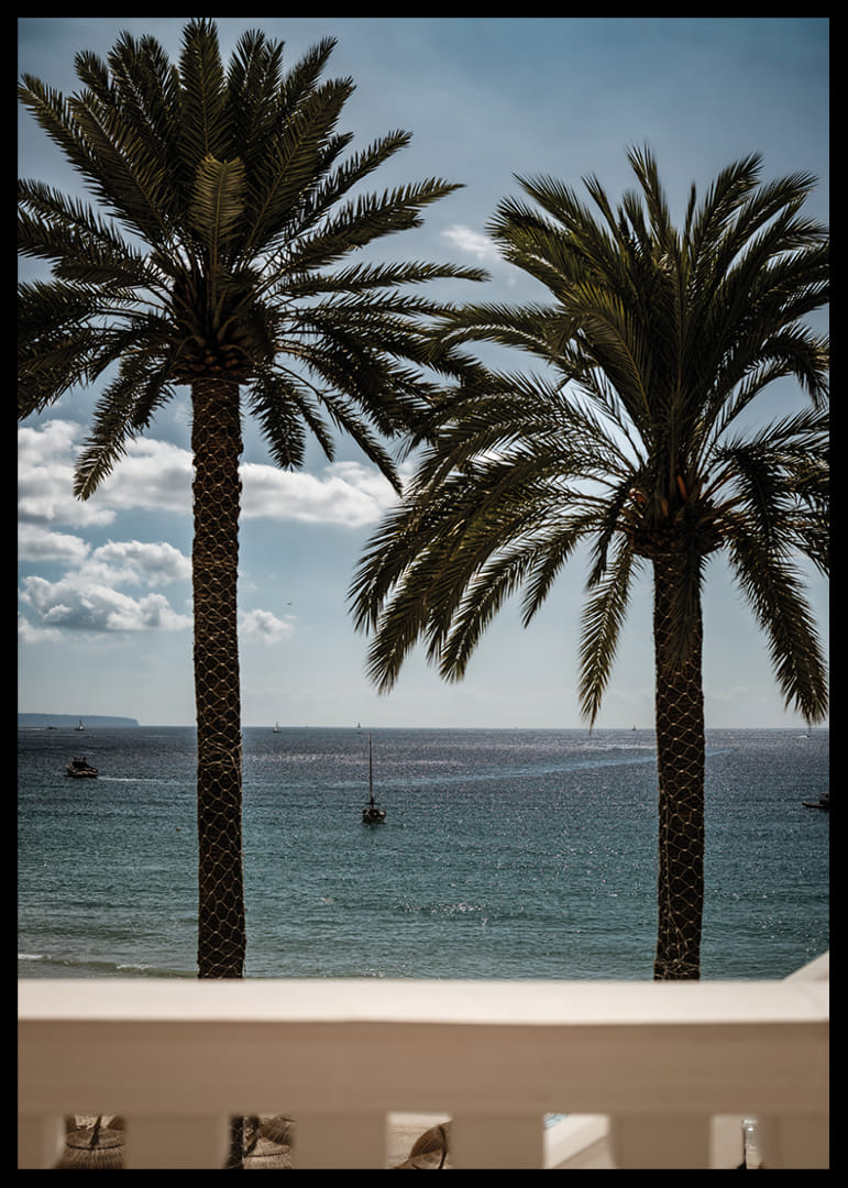 Palm trees by the sea provide peace and a heavenly calm.-12
