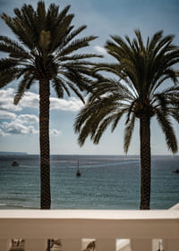 Palm trees by the sea provide peace and a heavenly calm.-7