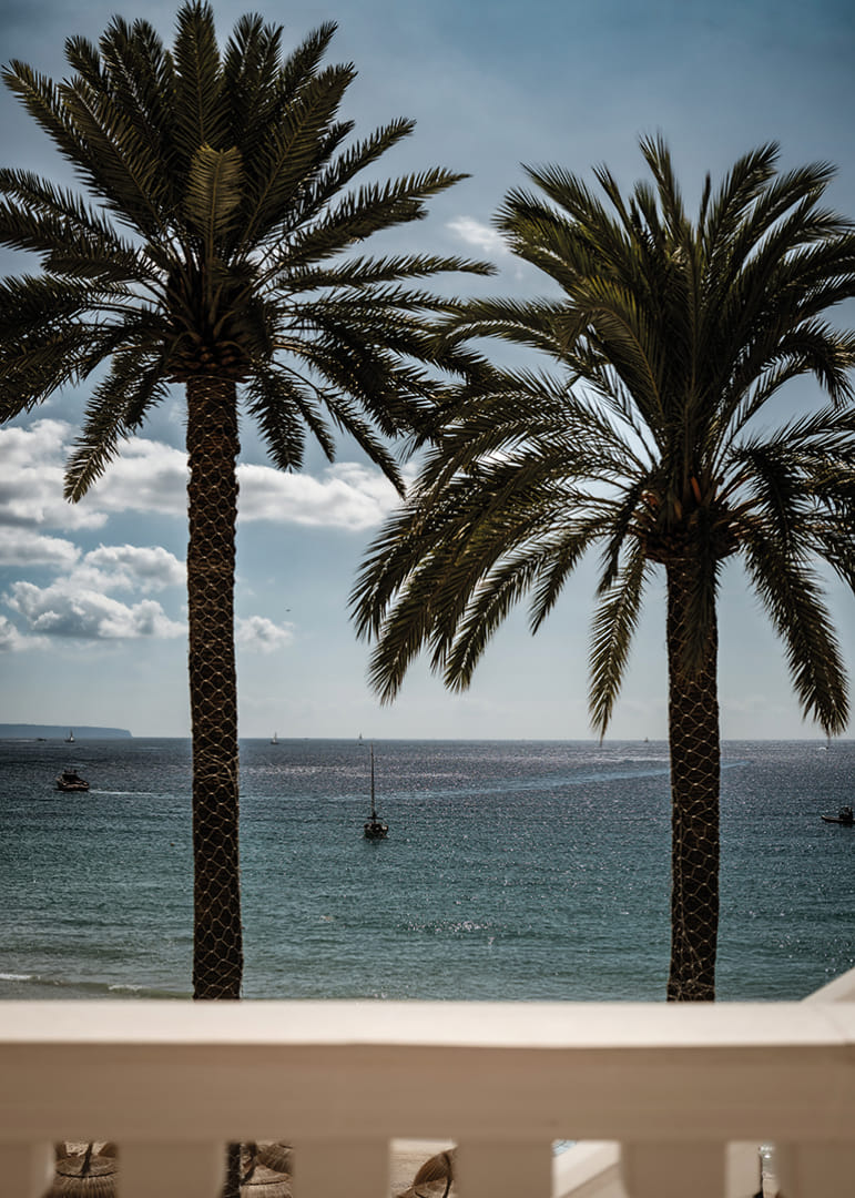Palm trees by the sea provide peace and a heavenly calm.-12