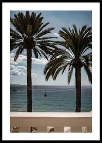 Palm trees by the sea provide peace and a heavenly calm.-0