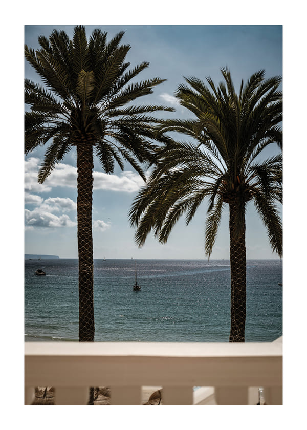 Poster Palm Framed Sea