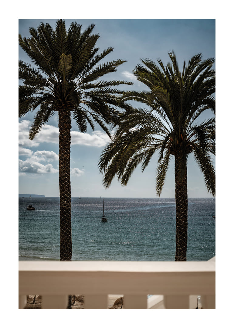 Palm trees by the sea provide peace and a heavenly calm.-12