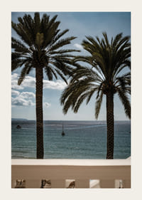 Palm trees by the sea provide peace and a heavenly calm.-3